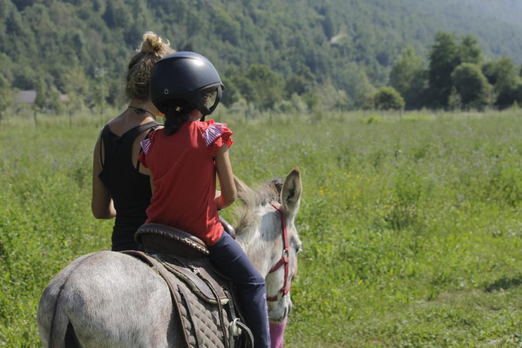 Wolf Village Demonte Kültér fotó